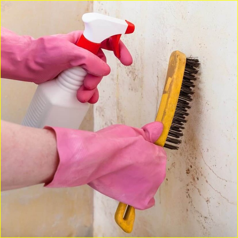 Stockflecken Wand Entfernen Der Ultimative Ratgeber F r Strahlend Stockflecken Wand Entfernen Der Ultimative Ratgeber F r Strahlend